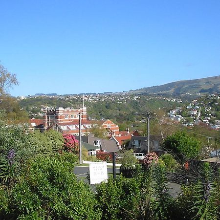 Arden Street House Bed & Breakfast Dunedin Luaran gambar