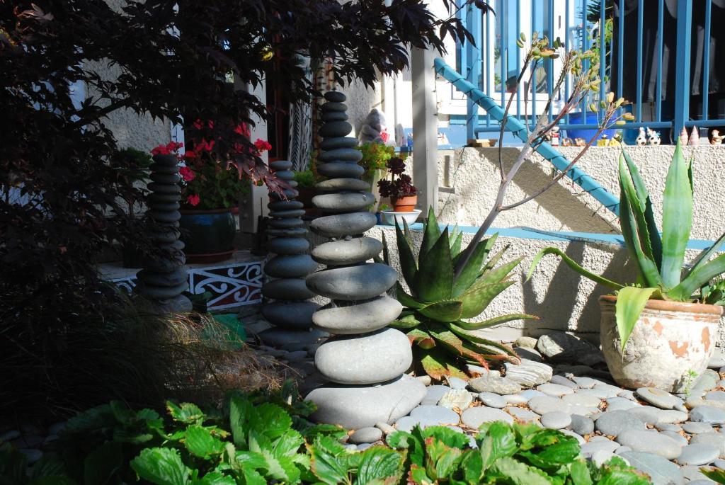 Arden Street House Bed & Breakfast Dunedin Luaran gambar