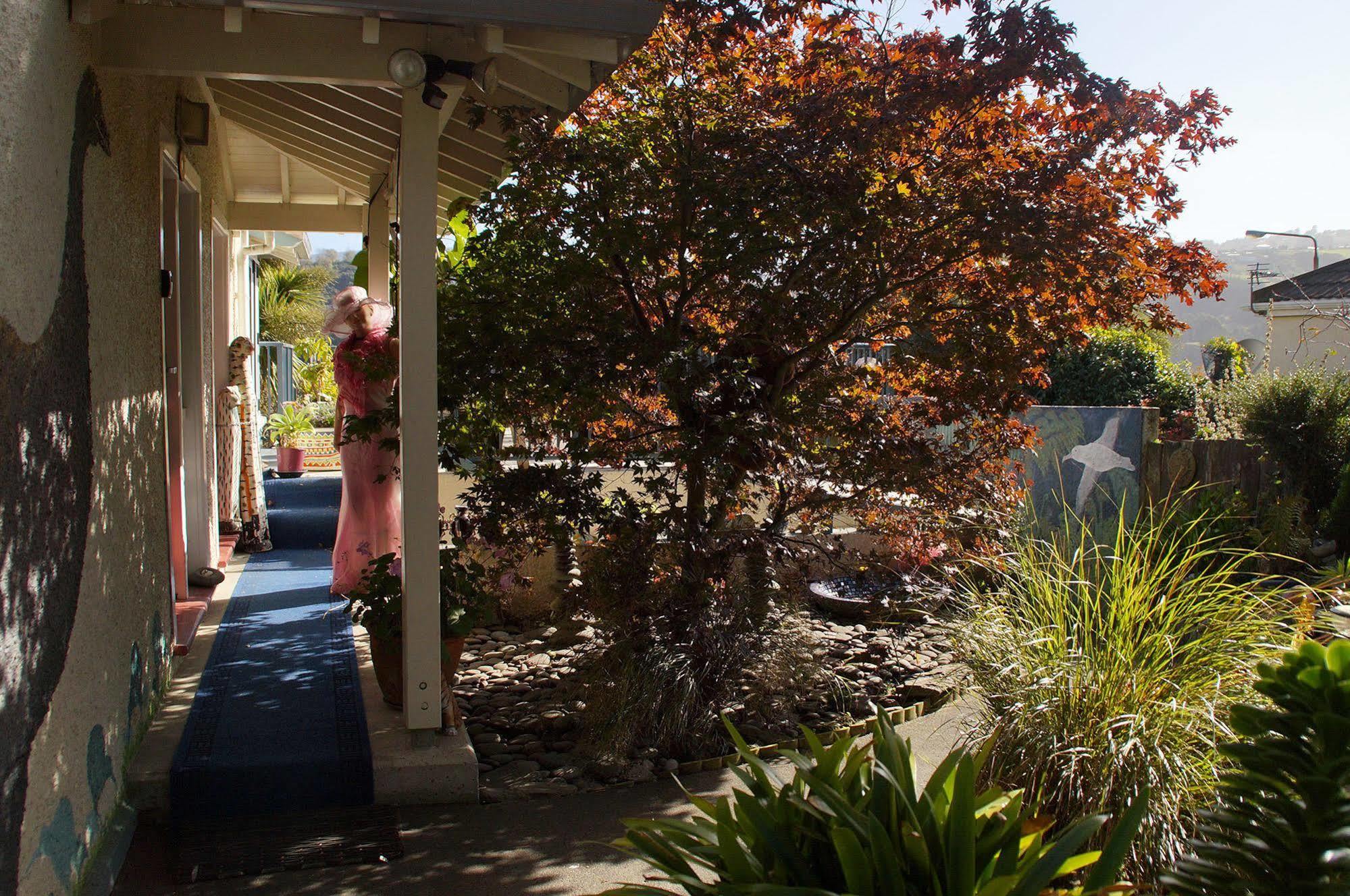 Arden Street House Bed & Breakfast Dunedin Luaran gambar